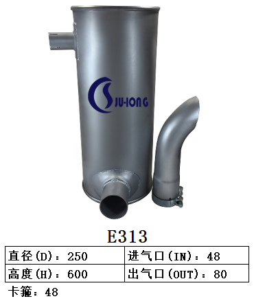 E313