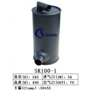SK100-1